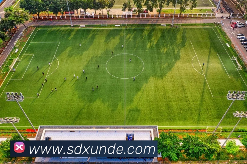 华体网首页官网平台生态图