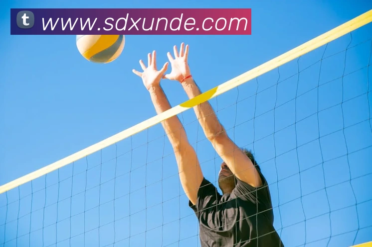 华体网首页官网APP 封面图